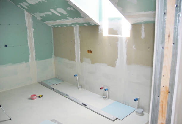 Best Drywall Repair  in Danvers, IL